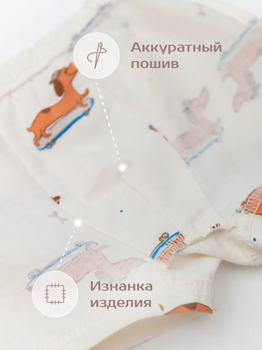 Трусы для мальчика комплект 4шт. (104/30, беж/синий)