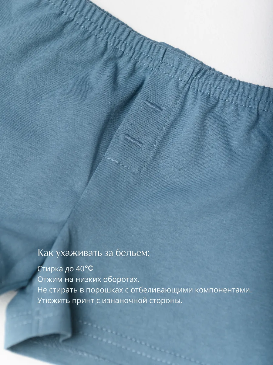 Трусы семейные комплект 4шт. (104/30, беж/синий)